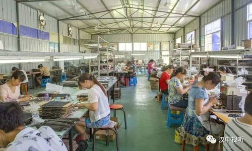 勉县 从脱贫摘帽到跻身全省十强，智能控制系统研发点亮发展新篇